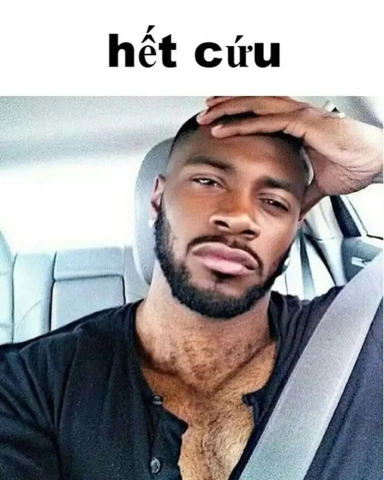 meme het cuu 12 jpg