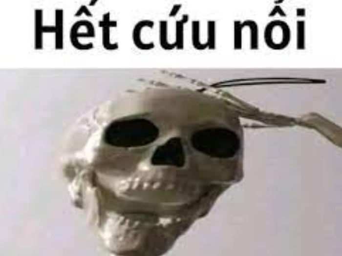meme het cuu 17 jpg