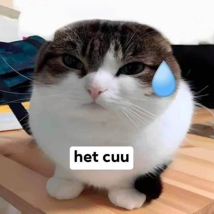 meme het cuu 18 jpg