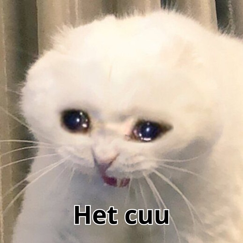 meme het cuu 7 jpg