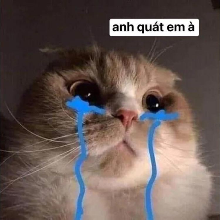 meme khoc 1 jpg