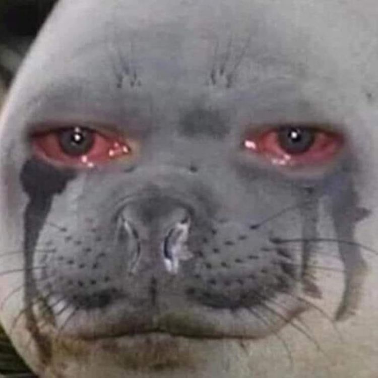 meme khoc 12 jpg
