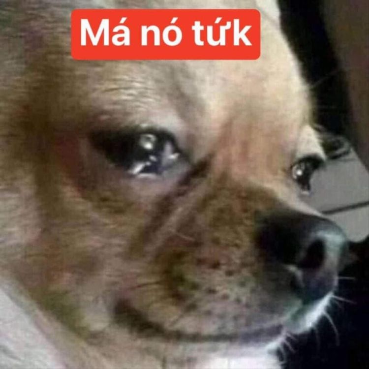 meme khoc 13 jpg