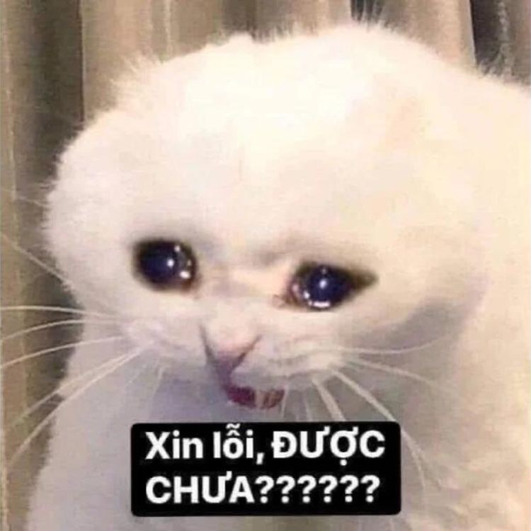 meme khoc 2 jpg