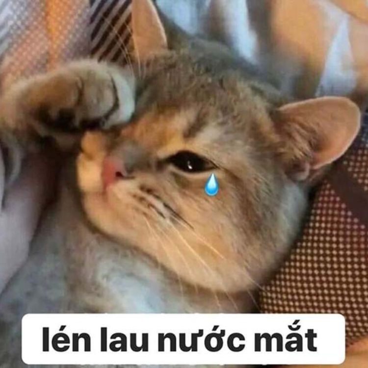 meme khoc 3 jpg