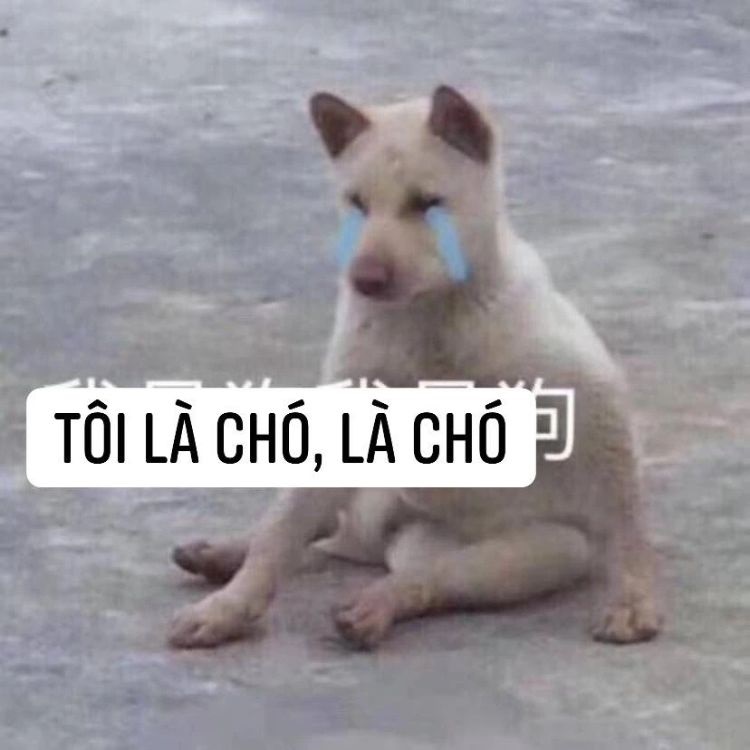 meme khoc 4 jpg