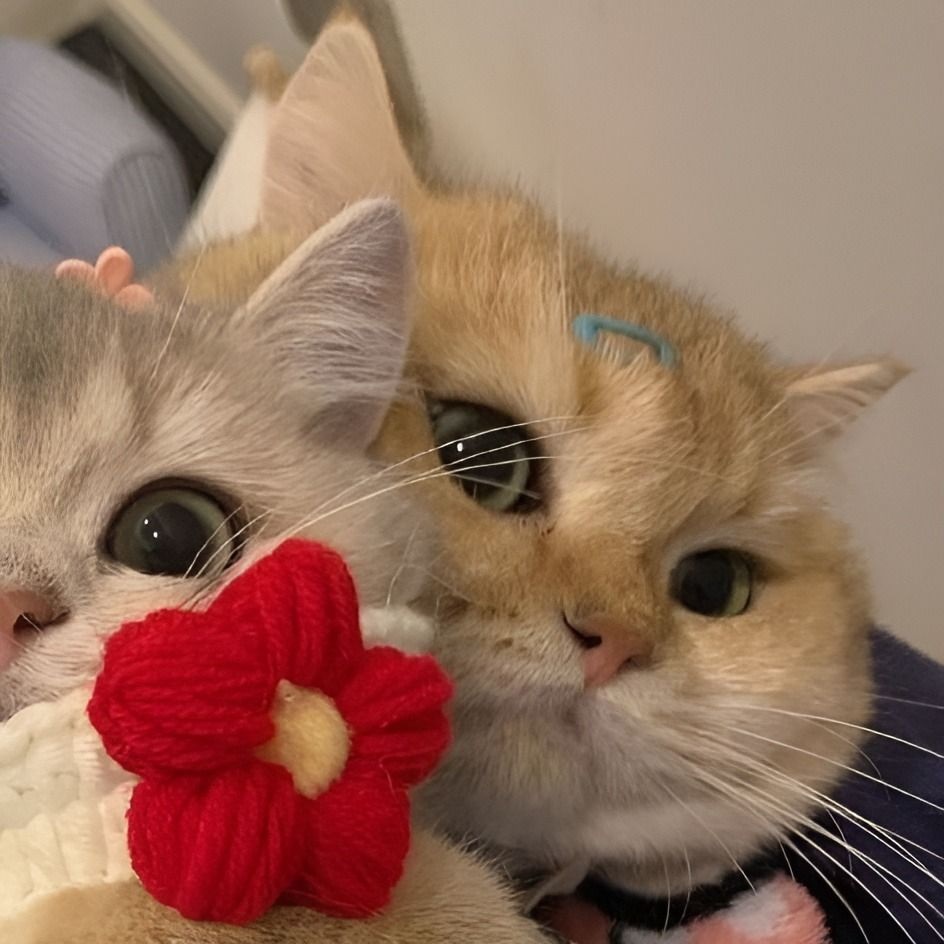 avatar doi cute 5 jpg