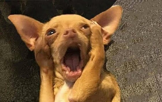 meme ngac nhien 19 jpg