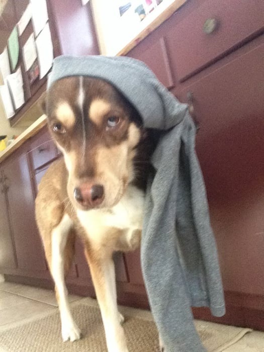 meme doi quan 14 jpg