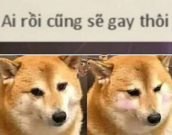 meme se gay 3 jpg