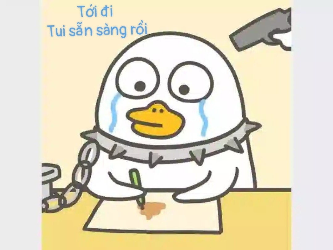 meme em san sang roi 16 jpg