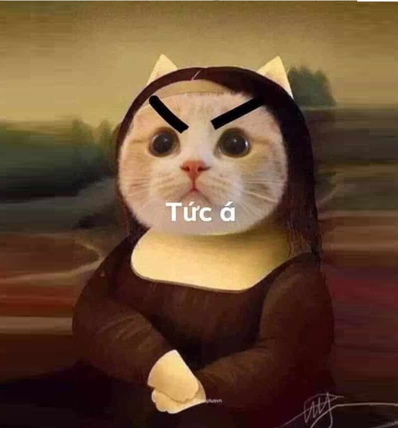 meme tuc gian 13 jpg