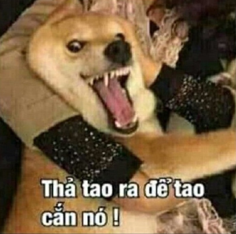 meme tuc gian 14 jpg