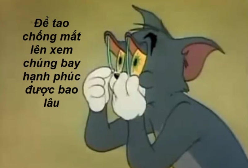 meme tom and jerry 14 jpg