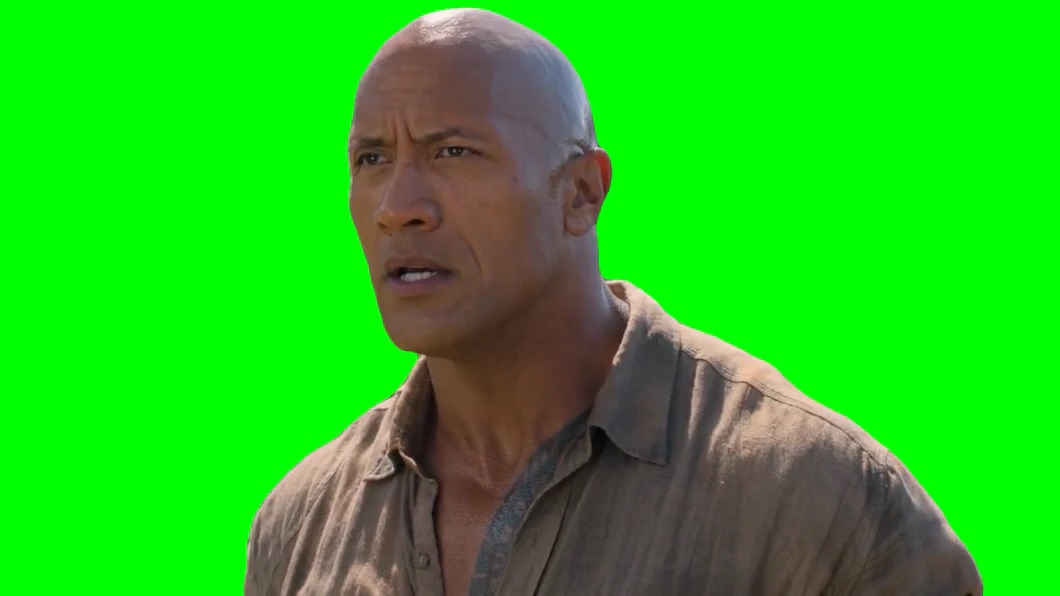 the rock meme 1 1  jpg