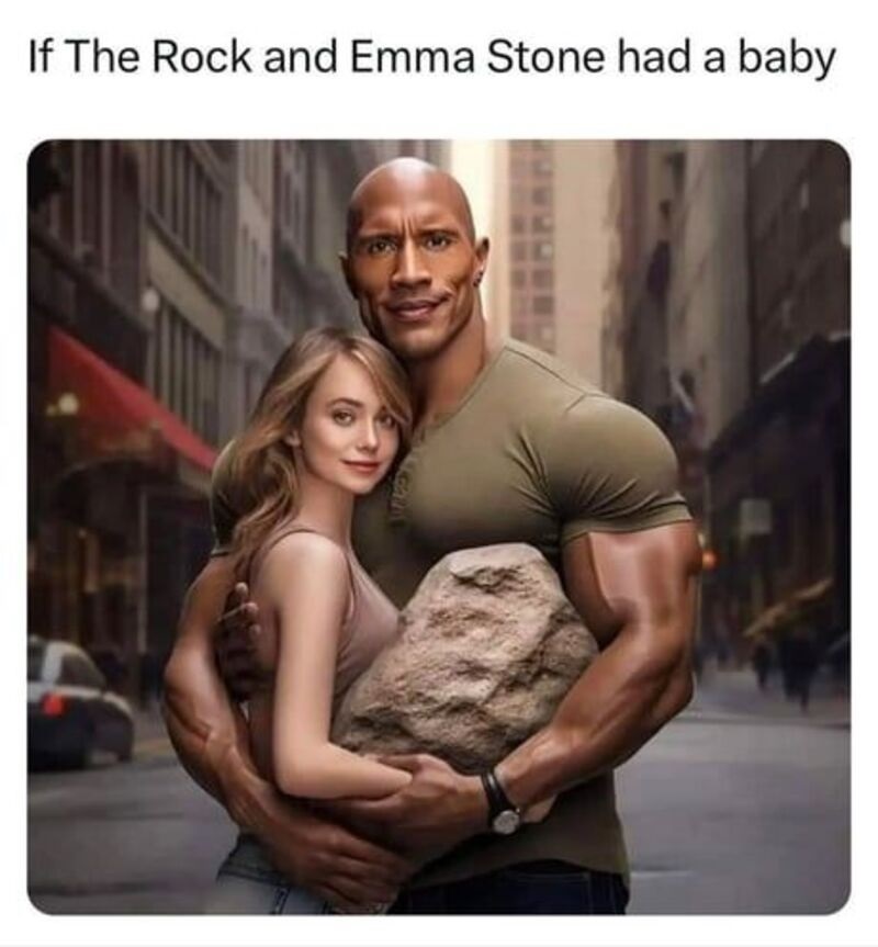 the rock meme 11 jpg