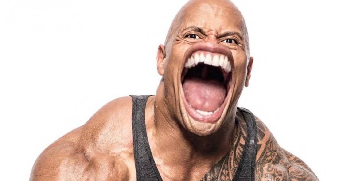 the rock meme 13 jpg