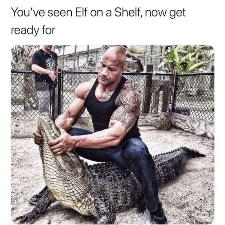 the rock meme 16 jpg