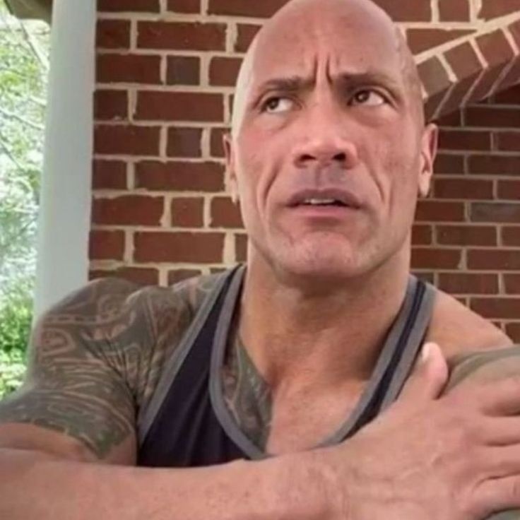the rock meme 4 jpg
