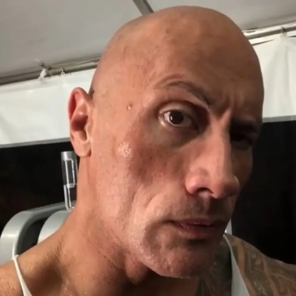 the rock meme 6 jpg