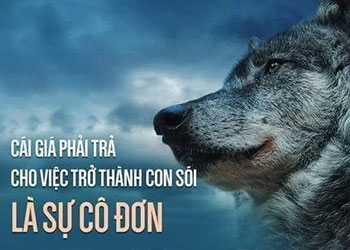 Top 33+ sói cô độc meme hung dữ, lạnh lùng HOT nhất