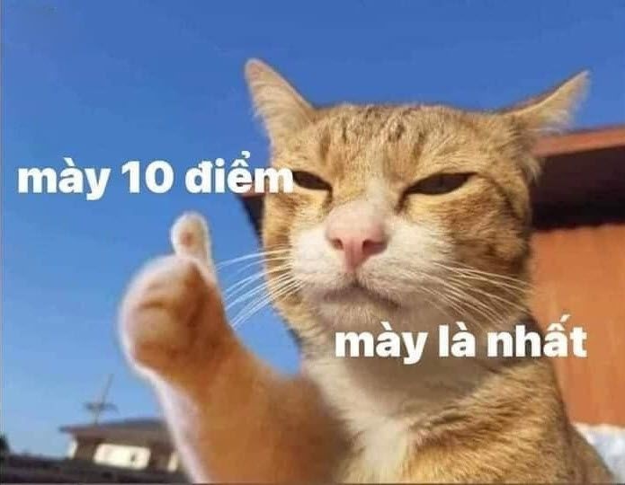 10 diem meme 21 jpg