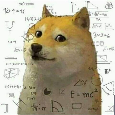 meme cho shiba 11 jpg