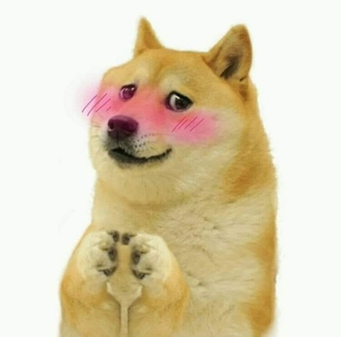 meme cho shiba 15 jpg