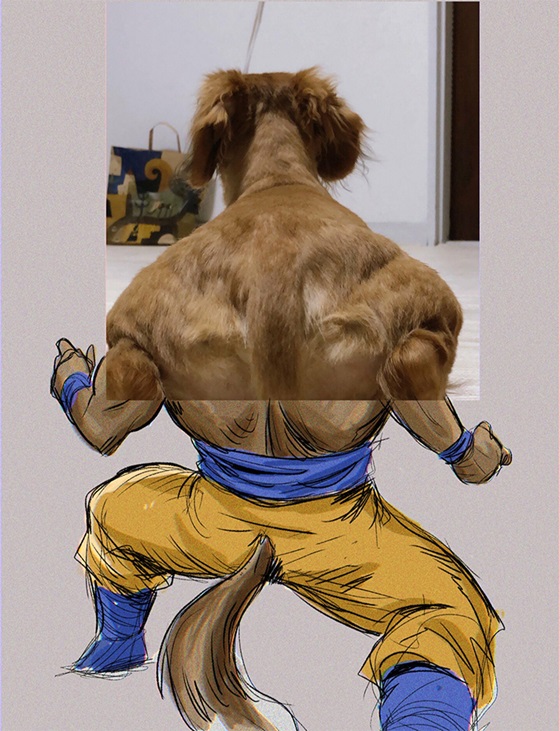meme cho shiba 20 jpg