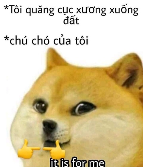 meme cho shiba 4 jpg