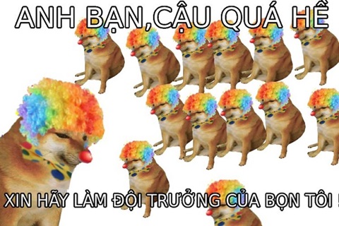 meme cho shiba 5 jpg