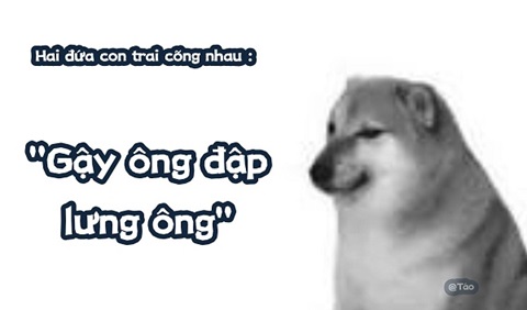meme cho shiba 6 jpg