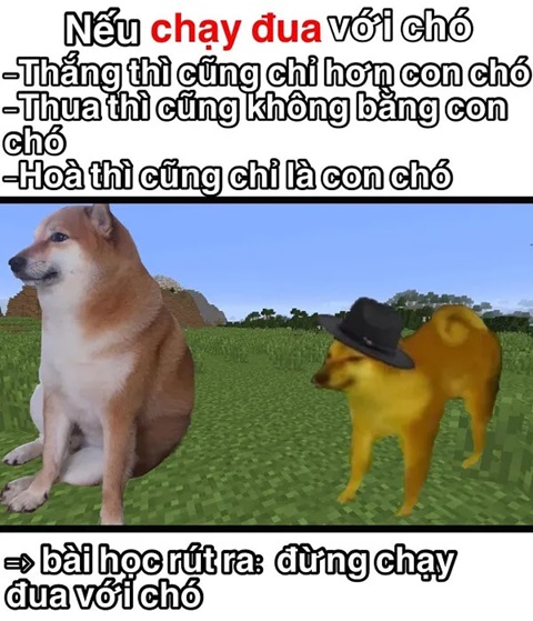 meme cho shiba 7 jpg