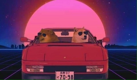meme cho shiba 9 jpg