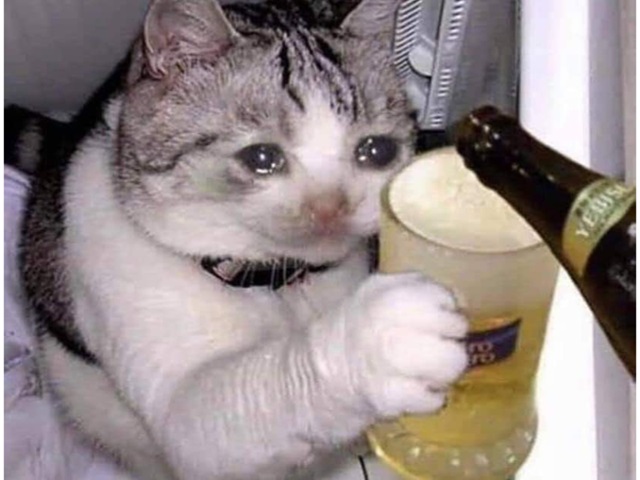 cry meme 23 jpg