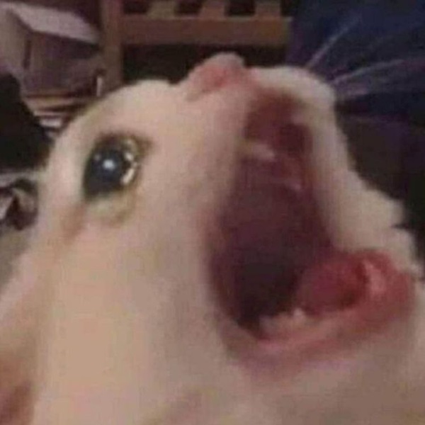 cry meme 8 jpg
