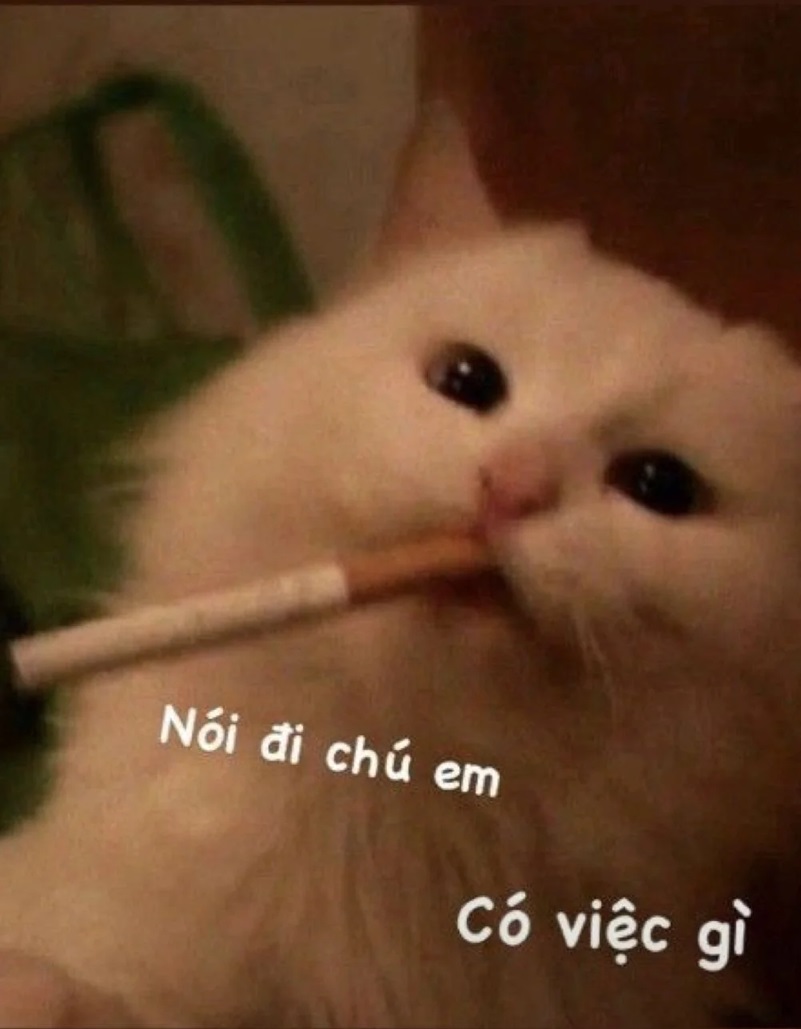 meme bua 13 jpg