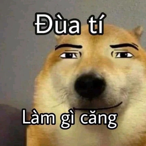 meme bua 14 jpg