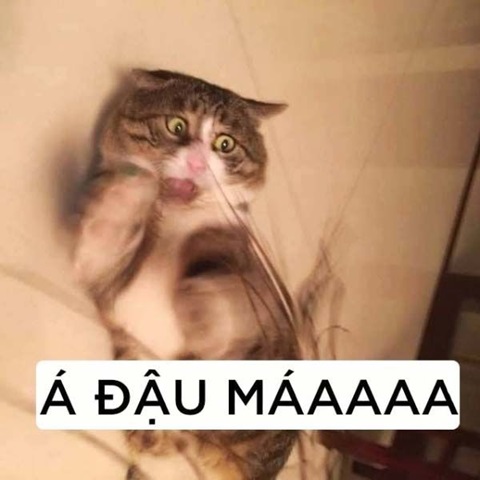 meme bua 18 jpg