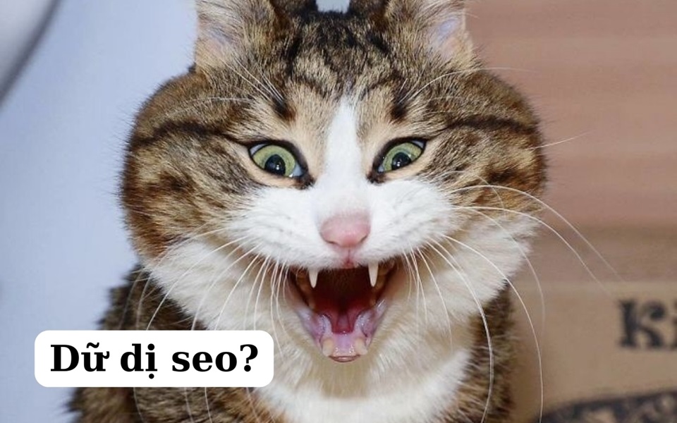 meme cute 14 jpg