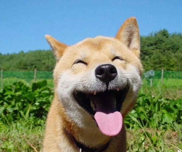 meme cute 20 jpg