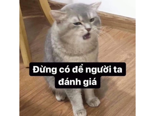 meme danh 12 jpg