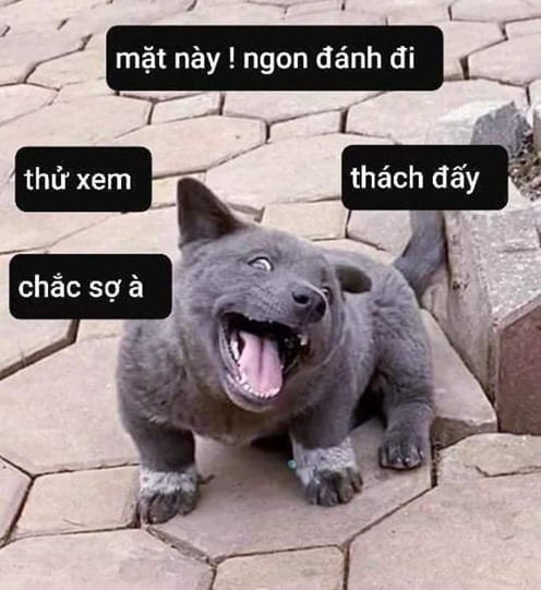 meme danh 17 jpg