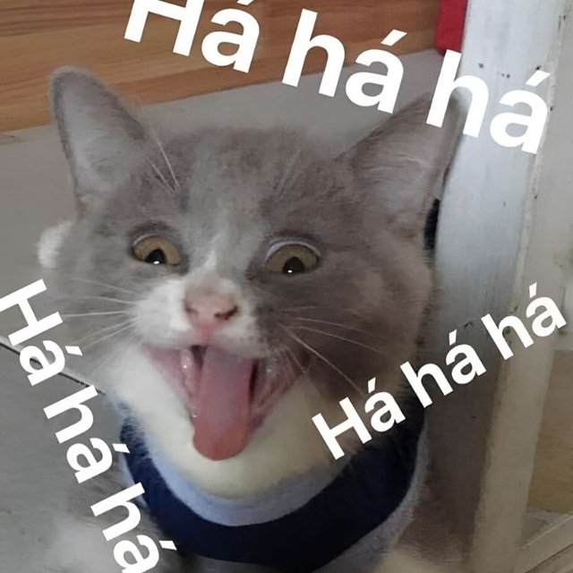 meme vo tri 12 jpg