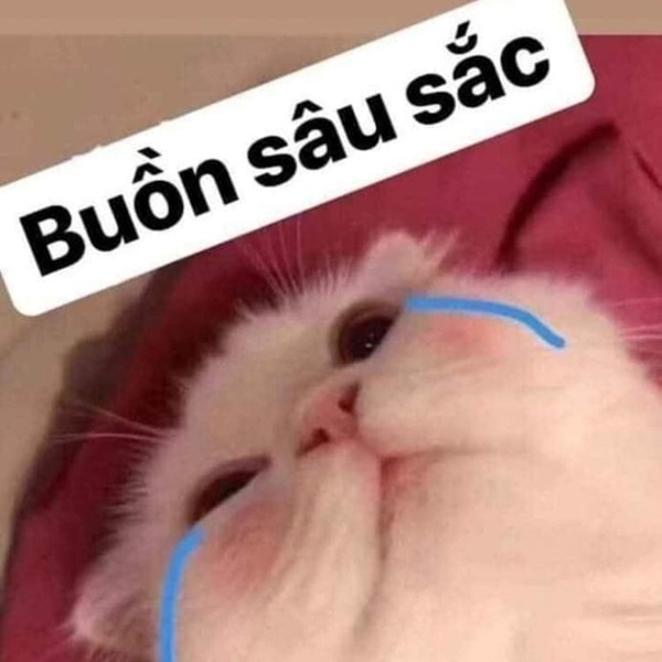 meme vo tri 23 jpg