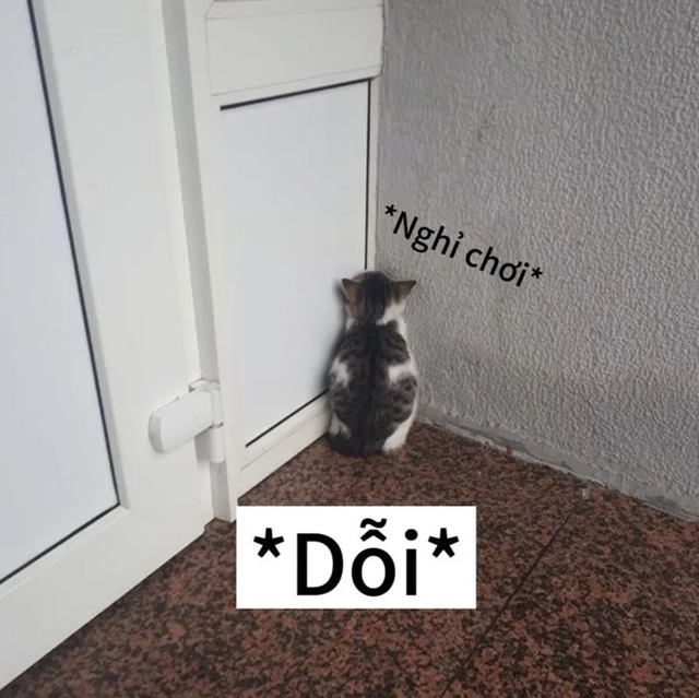 meme vo tri 7 jpg