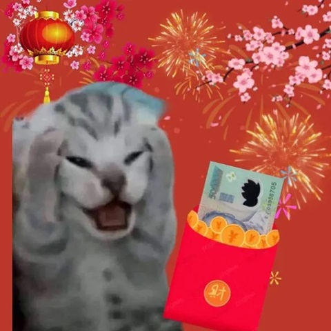 meme tet 11 jpg