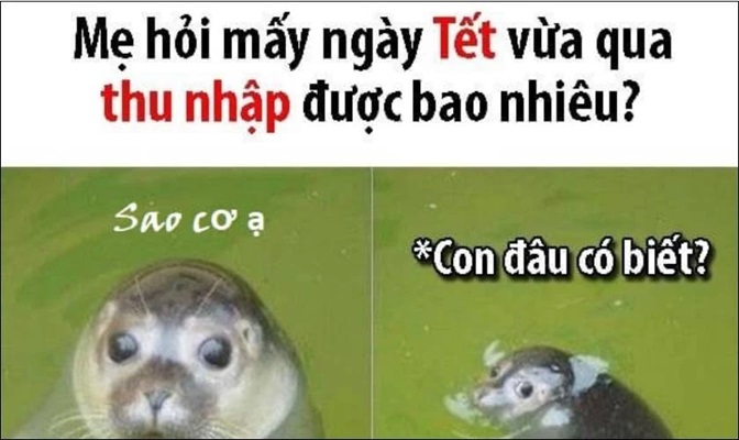 meme tet 20 jpg