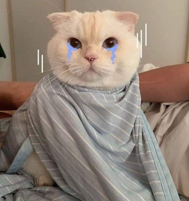 hinh nen meme 18 jpg