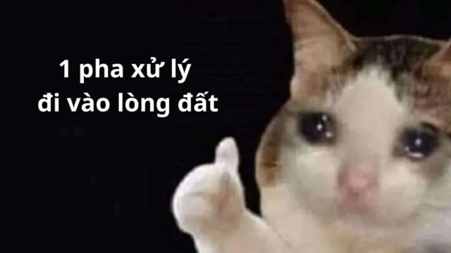 meme like 12 jpg